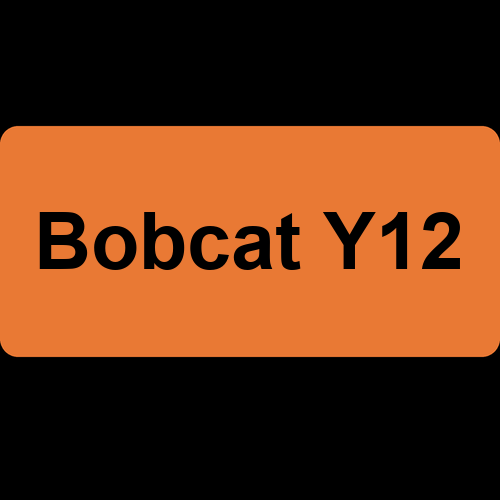 Bobcat Y12